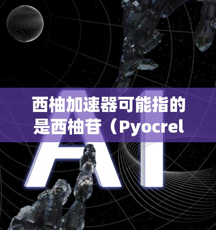 西柚加速器可能指的是西柚苷(Pyocrel)这是一种常见的西柚提取物,常用于治疗多种疾病,如关节炎、痛风、骨关节炎等。它是一种蛋白质复合物,能够增强免疫力、促进伤口愈合和加速关节退行性变化