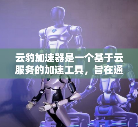 云豹加速器是一个基于云服务的加速工具,旨在通过网络加速技术提升用户与网络连接的速度。以下是关于云豹加速器的详细分析