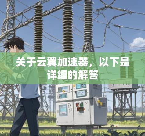 关于云翼加速器,以下是详细的解答
