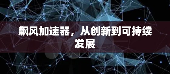 飙风加速器，从创新到可持续发展