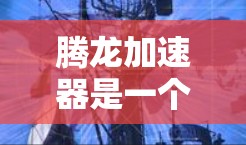 腾龙加速器是一个功能强大的加速工具,旨在提升游戏和视频的流畅度。它通过多种方法加速游戏,包括使用加速软件、调整设置、利用网络加速等。以下是关于腾龙加速器的详细信息