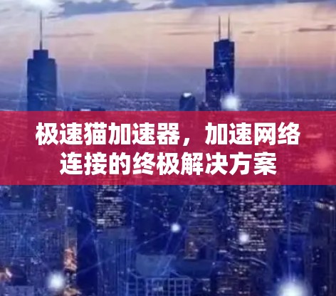 极速猫加速器，加速网络连接的终极解决方案