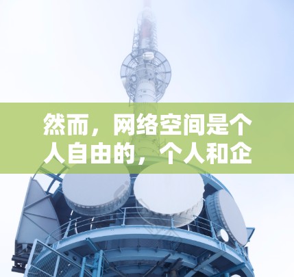 然而，网络空间是个人自由的，个人和企业可以依法使用网络资源进行合法活动。如果你是在香港使用VPN访问网络资源，这通常需要遵守香港的法律和规定