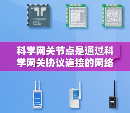 科学网关节点是通过科学网关协议连接的网络节点，主要负责数据包的处理和传输。以下是对科学网关节点性能的全面分析和提升方法的总结
