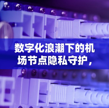 数字化浪潮下的机场节点隐私守护，一场不可逆转的数字革命