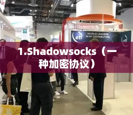 1.Shadowsocks（一种加密协议）