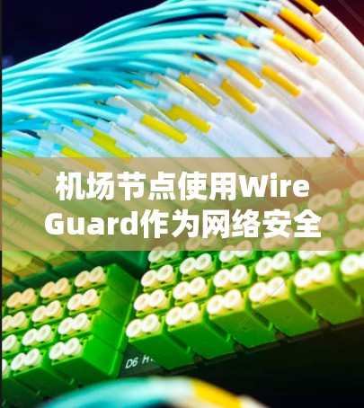 机场节点使用WireGuard作为网络安全协议，主要目的是保护敏感数据和重要设备的安全性。以下是该主题的详细分析
