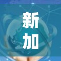 新加坡翻墙节点是新加坡互联网管理中的一项重要功能，它们在互联网基础设施中扮演着关键角色。以下是关于新加坡翻墙节点的详细信息