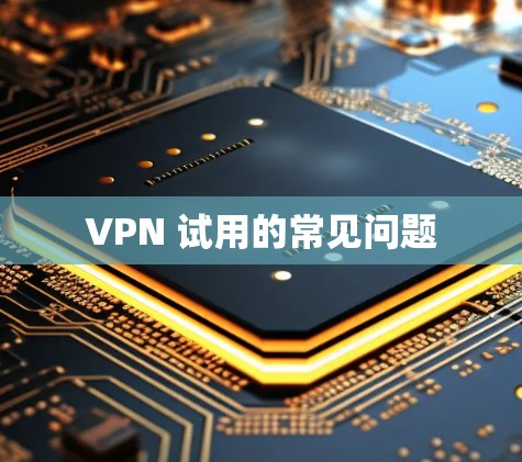 VPN 试用的常见问题