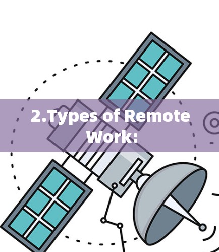 2.Types of Remote Work: