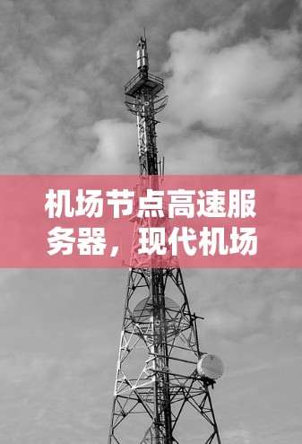 机场节点高速服务器，现代机场管理的数字化转型
