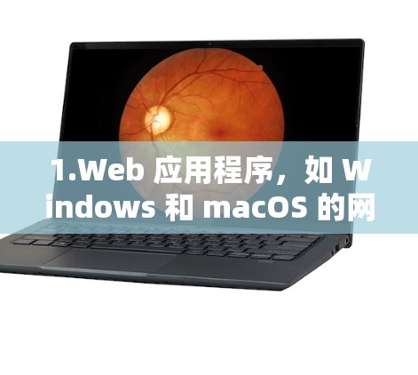 1.Web 应用程序，如 Windows 和 macOS 的网页应用，它们需要将代码传送到服务器端运行，再返回结果到用户端