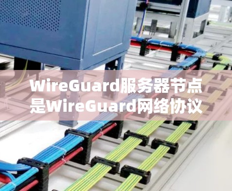 WireGuard服务器节点是WireGuard网络协议中的核心组件，负责处理服务器端的请求和网络通信。以下是关于 WireGuard服务器节点的详细分析