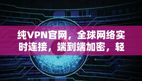 纯VPN官网，全球网络实时连接，端到端加密，轻松连接本地设备