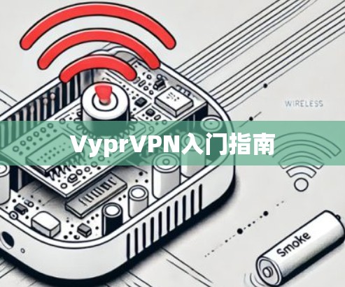 VyprVPN入门指南