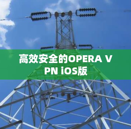 高效安全的OPERA VPN iOS版