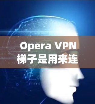 Opera VPN梯子是用来连接到Opera VPN服务的网络设备,通常指VPN服务器或通过梯子连接到服务器。以下是使用Opera VPN梯子连接到网站的步骤