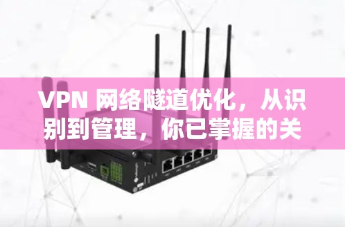 VPN 网络隧道优化，从识别到管理，你已掌握的关键技能