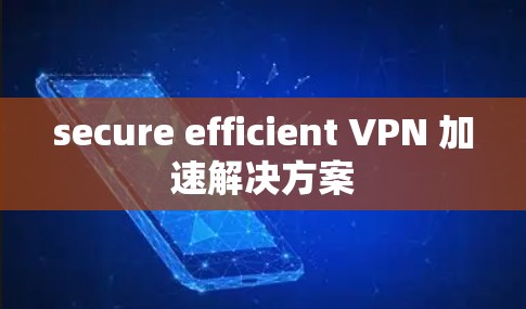 secure efficient VPN 加速解决方案