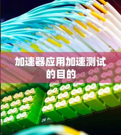 加速器应用加速测试的目的