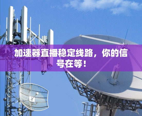 加速器直播稳定线路，你的信号在等！