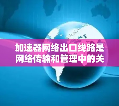 加速器网络出口线路是网络传输和管理中的关键技术，用于加速数据或流量的传输。以下是关于加速器网络出口线路的详细信息