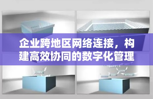 企业跨地区网络连接，构建高效协同的数字化管理平台