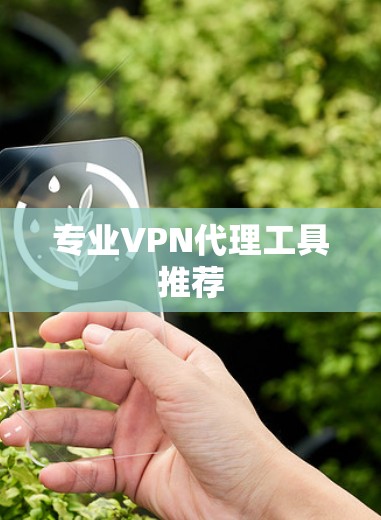 专业VPN代理工具推荐