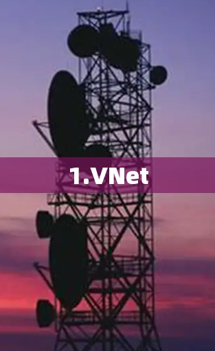 1.VNet