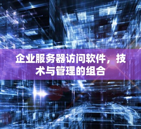 企业服务器访问软件，技术与管理的组合