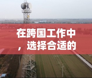 在跨国工作中，选择合适的网络工具可以极大提升工作效率和用户体验。以下是一些推荐的网络工具，适用于不同场景