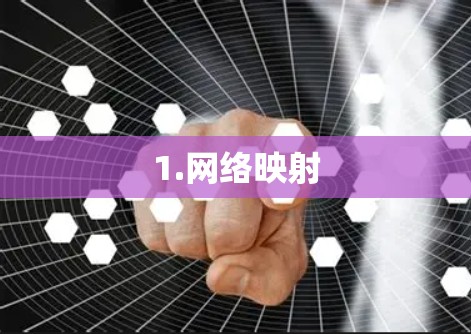 1.网络映射
