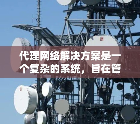 代理网络解决方案是一个复杂的系统，旨在管理、监控、扩展和安全保护网络设备。以下是对该系统的详细概述