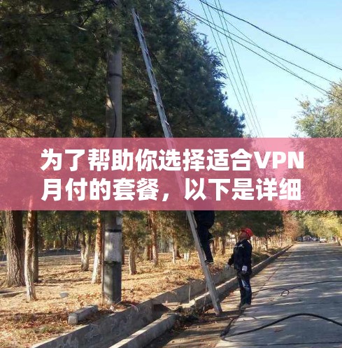 为了帮助你选择适合VPN月付的套餐，以下是详细的分析和推荐