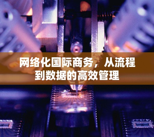 网络化国际商务,从流程到数据的高效管理 网络化国际商务,从流程到数据的高效管理