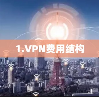 1.VPN费用结构