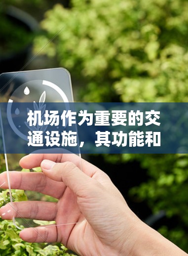 机场作为重要的交通设施，其功能和结构对乘客的安全至关重要。以下是对机场主要区域的详细说明，帮助新手更好地理解机场的功能和操作