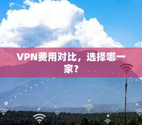 VPN费用对比,选择哪一家? VPN费用对比,选择哪一家?