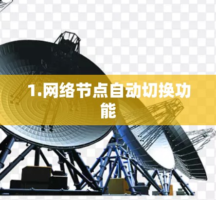 1.网络节点自动切换功能