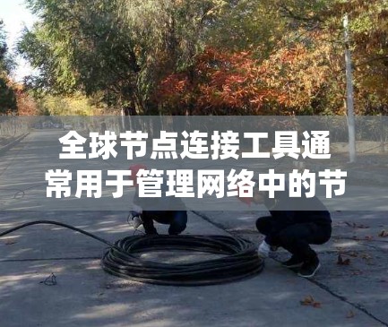 全球节点连接工具通常用于管理网络中的节点,使其能够连接到全球网络环境。以下是一个系统的解释 全球节点连接工具通常用于管理网络中的节点,使其能够连接到全球网络环境。以下是一个系统的解释