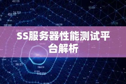SS服务器性能测试平台解析