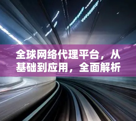 全球网络代理平台，从基础到应用，全面解析国际网络代理的未来趋势
