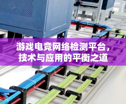 游戏电竞网络检测平台,技术与应用的平衡之道