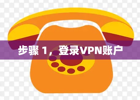 步骤 1，登录VPN账户