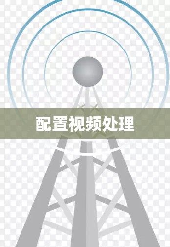 配置视频处理