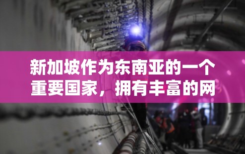 新加坡作为东南亚的一个重要国家,拥有丰富的网络基础设施和丰富的VPN服务。以下是对新加坡VPN线路服务的全面分析,帮助您做出明智的选择