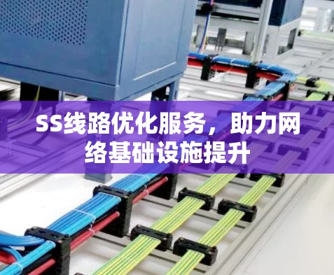 SS线路优化服务,助力网络基础设施提升 SS线路优化服务,助力网络基础设施提升