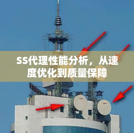 SS代理性能分析，从速度优化到质量保障