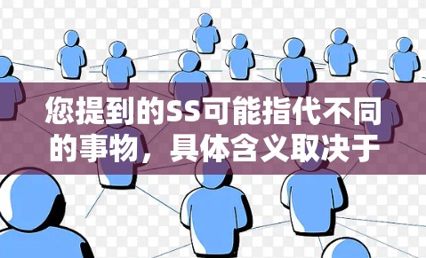 您提到的SS可能指代不同的事物,具体含义取决于上下文。以下是一些可能的解释及其对应的使用指南