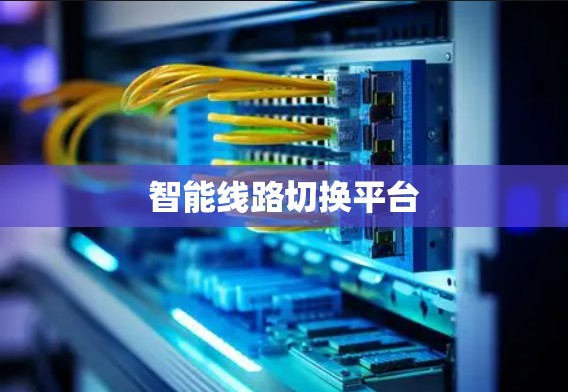 智能线路切换平台